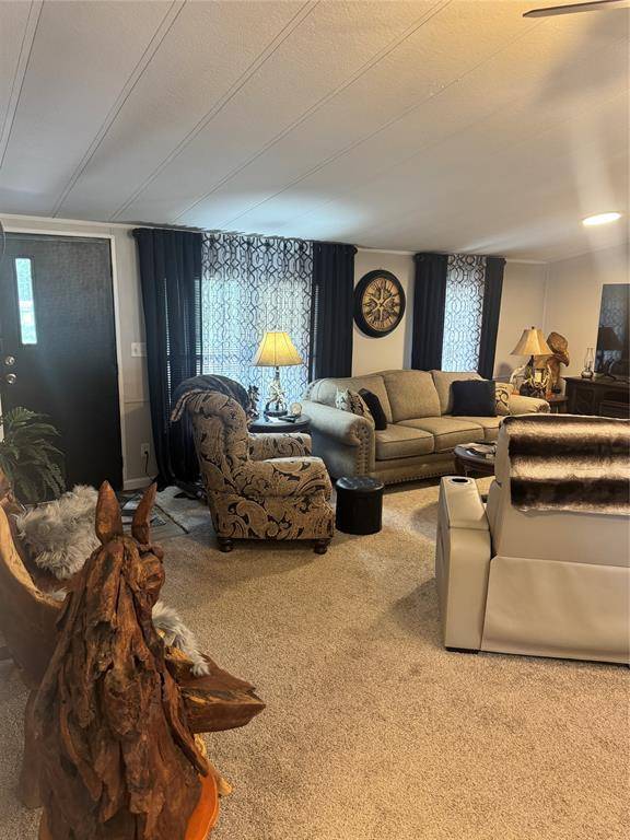 20414 Hillside Drive, Chandler, TX 75758