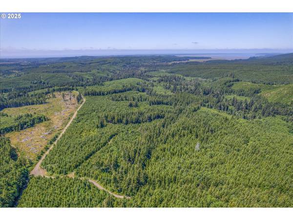 2 E Walberg RD, Chinook, WA 98614