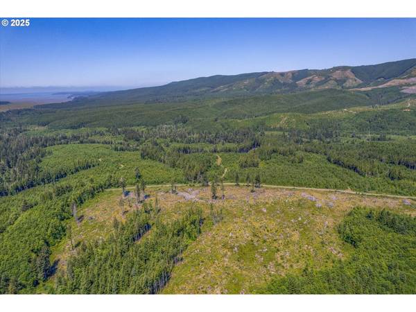 1 W Walberg RD, Chinook, WA 98614