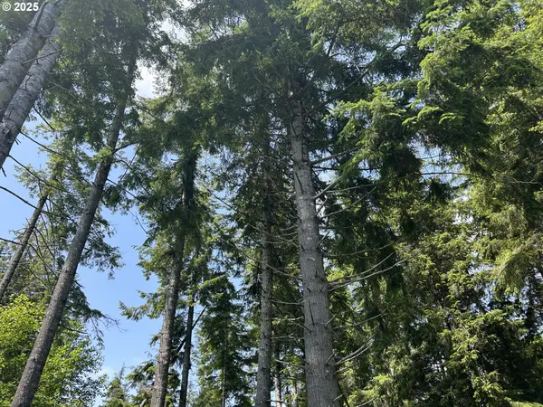 1 W Walberg RD, Chinook, WA 98614