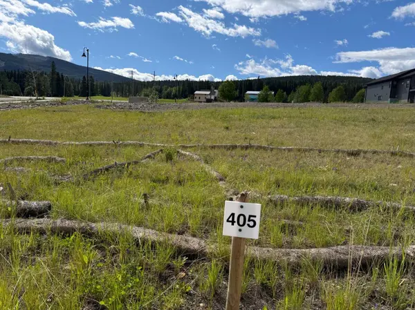405 LILY AVE, Nordegg, AB T0M 2H0