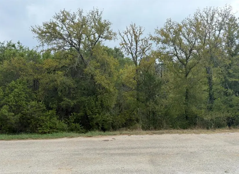 2509 White Oak Trail, Granbury, TX 76048