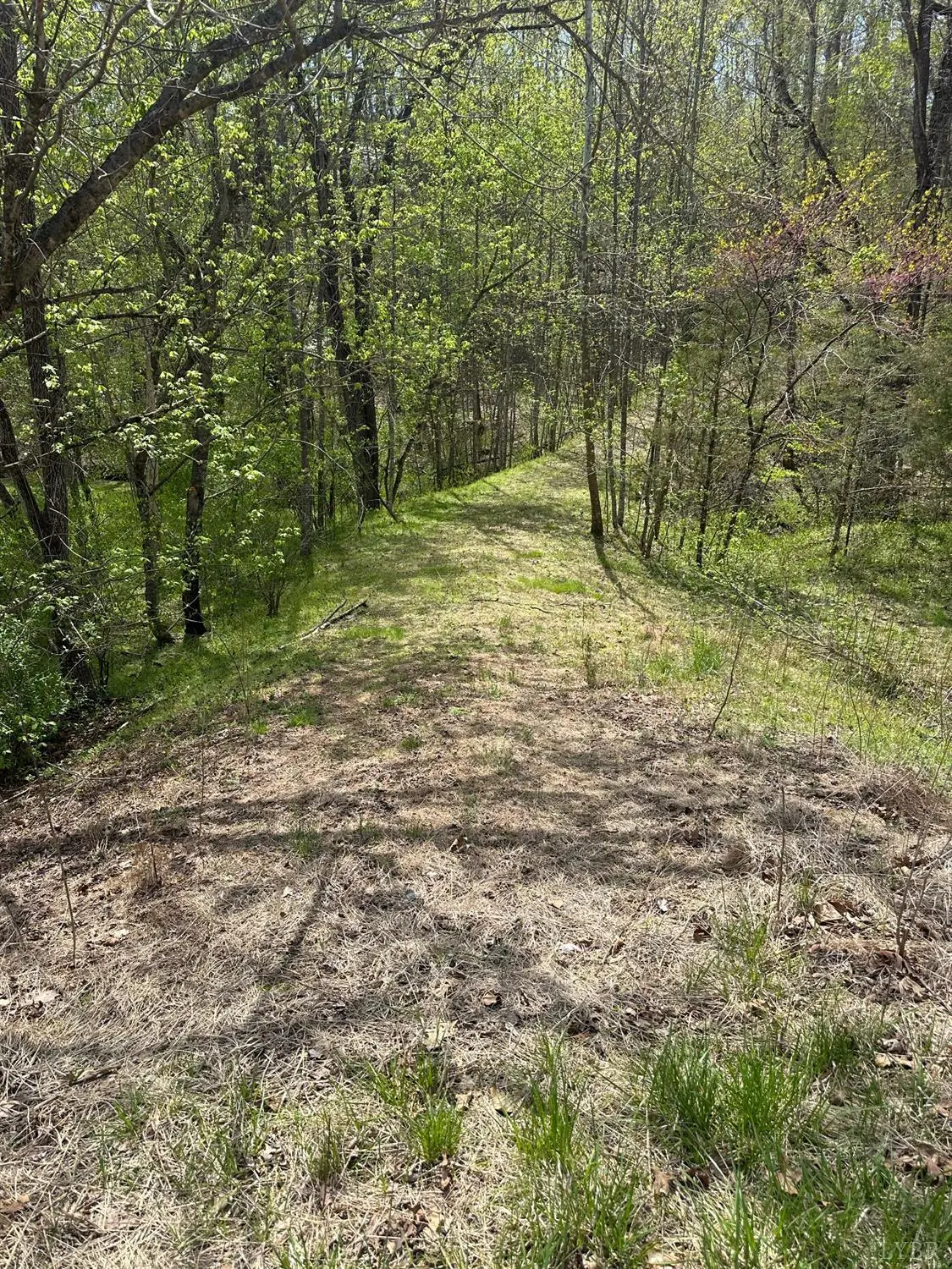 0 Gladys Road, Altavista, VA 24517