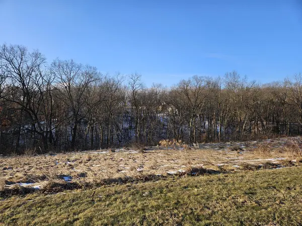 TBD Gig Drive (Lot 23), Galena, IL 61036