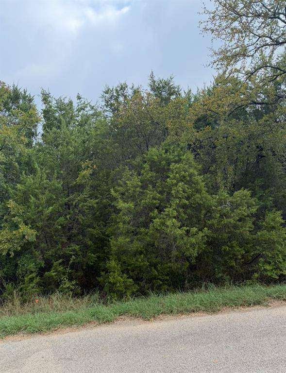 2509 White Oak Trail, Granbury, TX 76048
