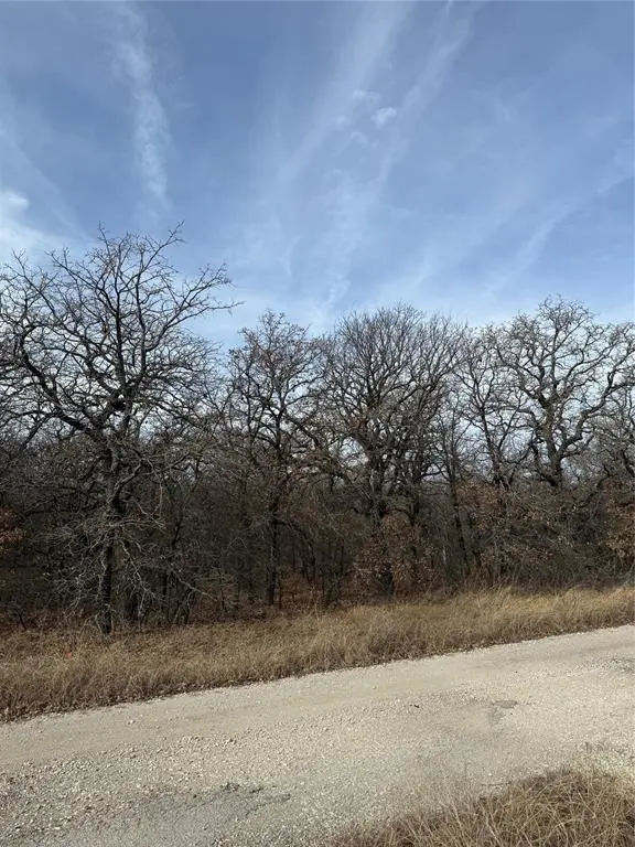 0 Lindsey Lane, Runaway Bay, TX 76426