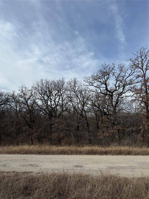 0 Lindsey Lane, Runaway Bay, TX 76426