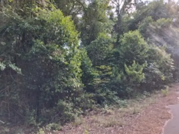tbd Chapparal Run, Murchison, TX 75778
