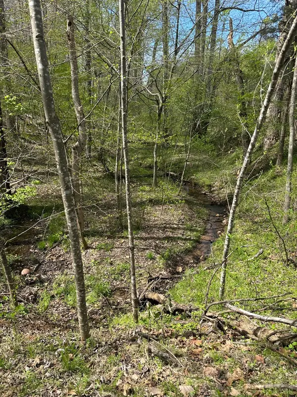 0 Gladys Road, Altavista, VA 24517