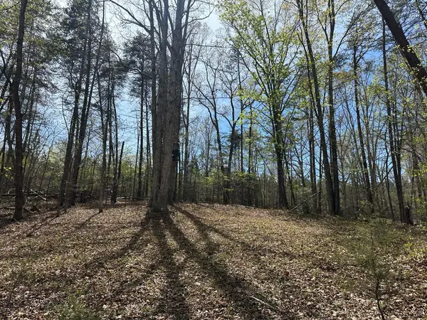 0 Gladys Road, Altavista, VA 24517
