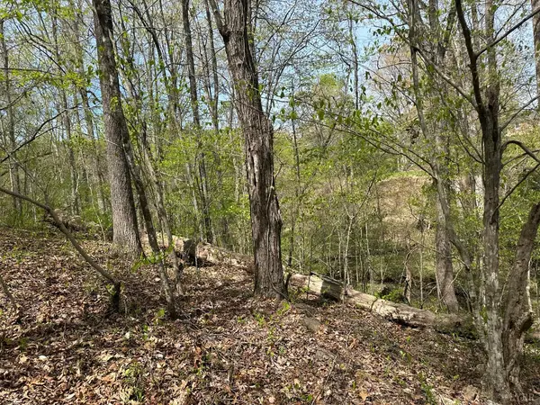 0 Gladys Road, Altavista, VA 24517