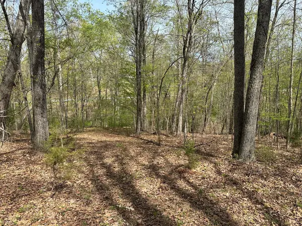 0 Gladys Road, Altavista, VA 24517
