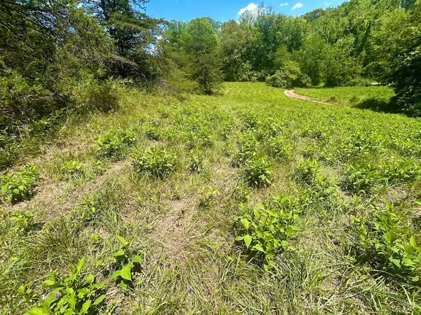 0 Cove Valley Ln, Faber, VA 22938