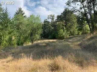 0 NE NEWTON CREEK RD, Roseburg, OR 97470