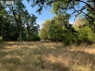 0 NE NEWTON CREEK RD, Roseburg, OR 97470