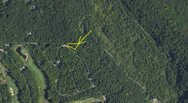 Lot 218 Hawks Eye DR, Kearney Twp, MI 49615
