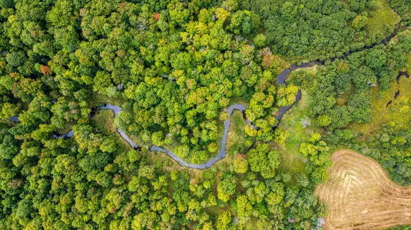 LOT 20 BEIERS RD, Gravenhurst, ON P0E 1N0