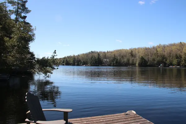 812 Island 8 Catchacoma Lake N/A, Trent Lakes, ON K0L 1J0