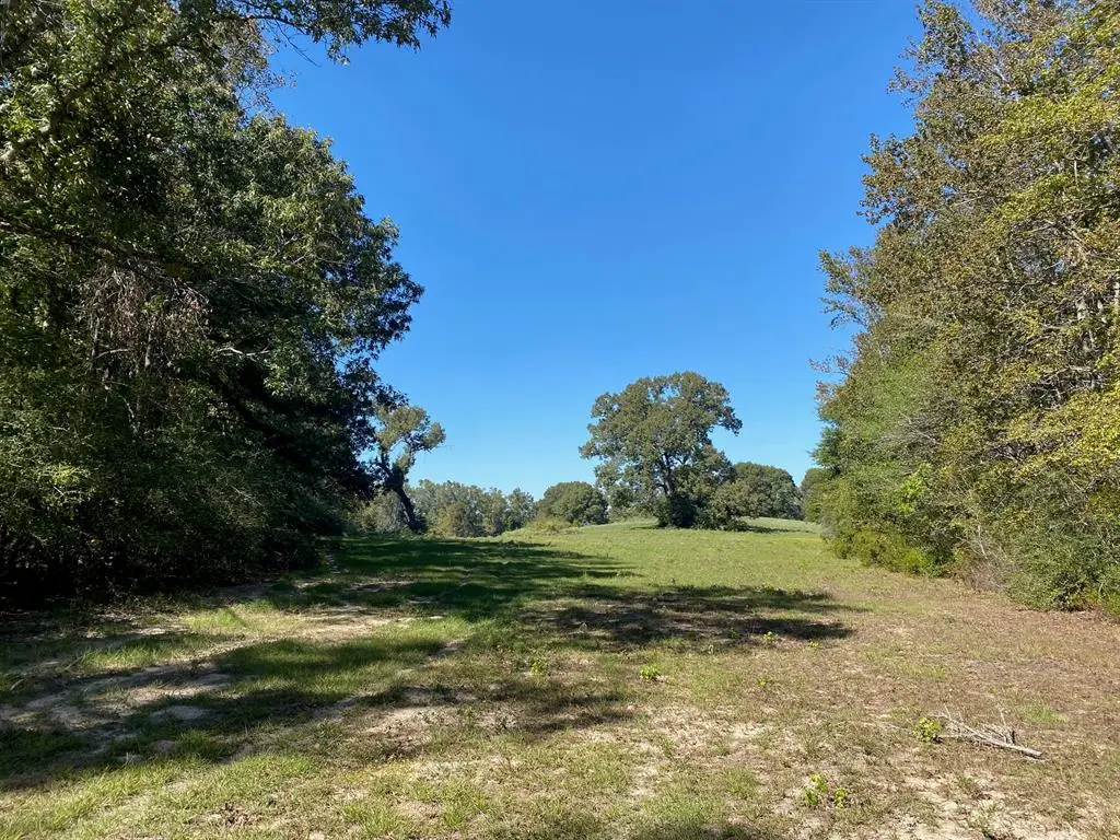 TBD 006 County Road 242, Oakwood, TX 75855
