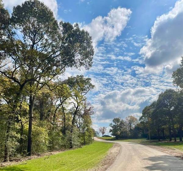 TBD 008 County Rd 242, Oakwood, TX 75855