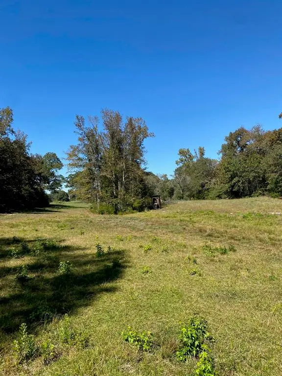 TBD 008 County Rd 242, Oakwood, TX 75855
