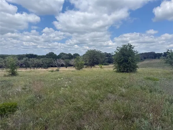 10131 Horizon View, Tolar, TX 76476