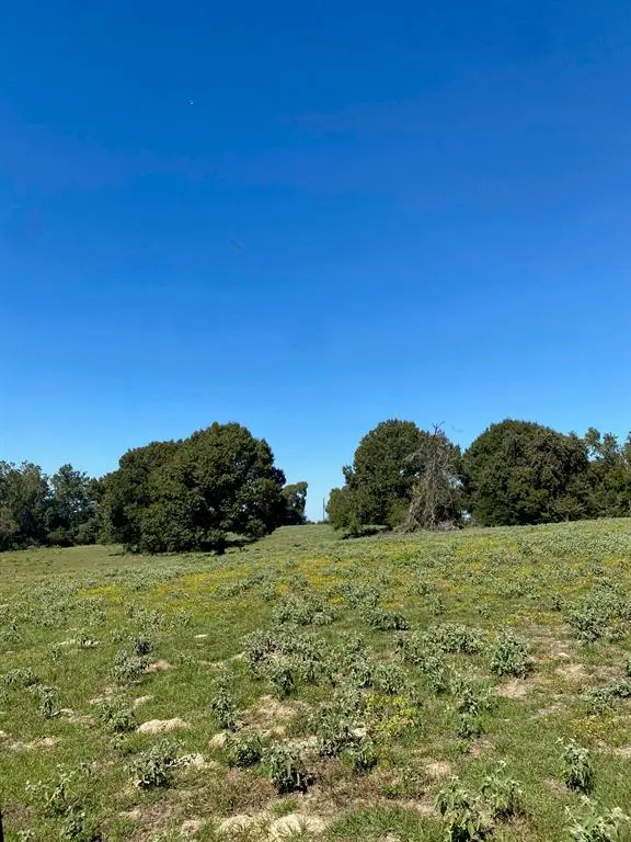 TBD 006 County Road 242, Oakwood, TX 75855