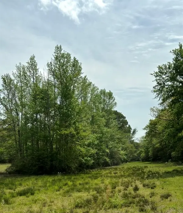 TBD 006 County Road 242, Oakwood, TX 75855