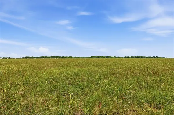 421 Chambers Creek Trail, Alvarado, TX 76009