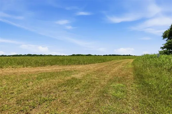 421 Chambers Creek Trail, Alvarado, TX 76009