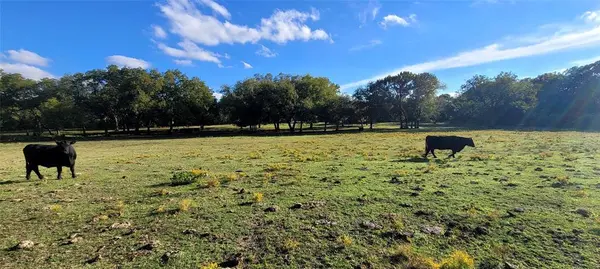 8601 Lowery Road, Fort Worth, TX 76120