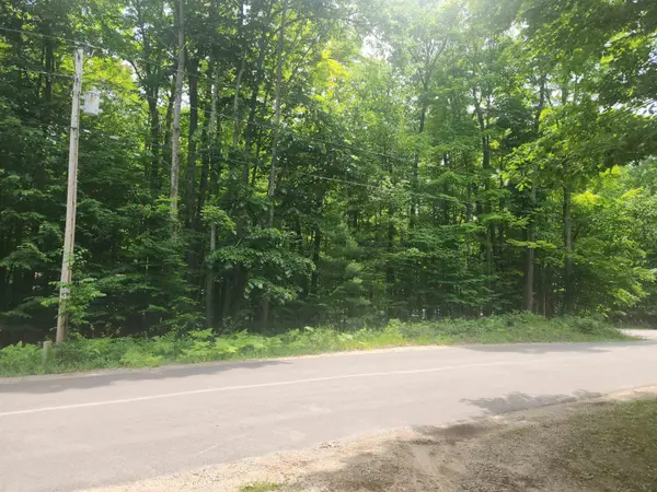 00 Birch View TRL, Almira Twp, MI 49650