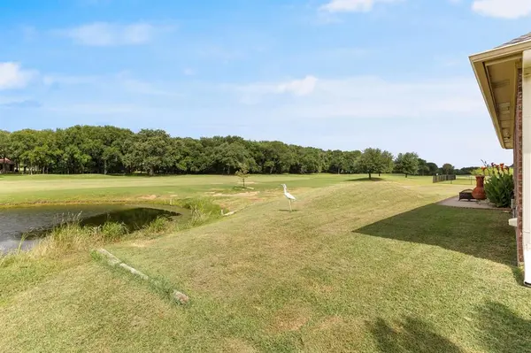 17012 Trailwood Drive, Whitney, TX 76692
