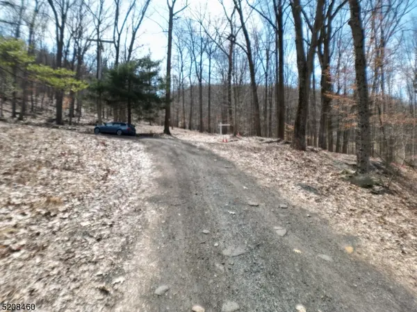 2 Stony Brook Lane, Bethlehem Twp., NJ 08802
