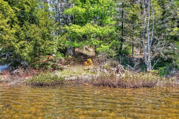 1165 Spring Lake RD, Bracebridge, ON P1L 1X1