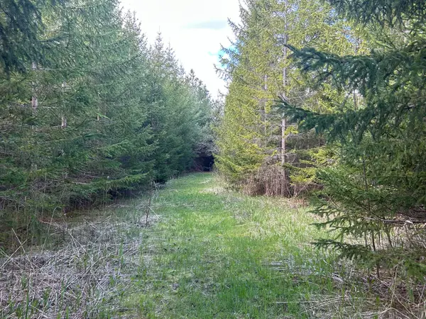 Part 3 Ingham RD, Alnwick/haldimand, ON K0K 2X0