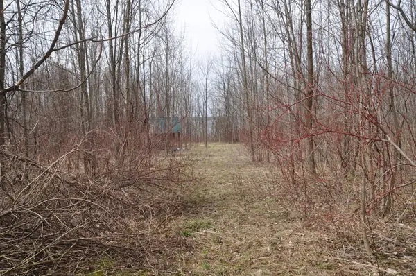 PTLT 19 CON BROKEN FRONT Bayshore RD, Meaford, ON N0H 1V0