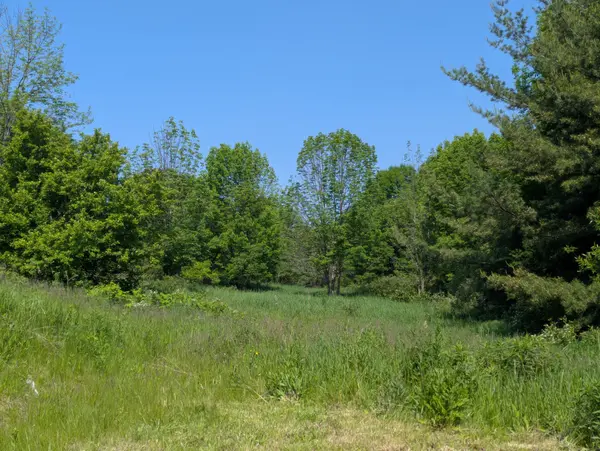 PTLT 19 CON BROKEN FRONT Bayshore RD, Meaford, ON N0H 1V0