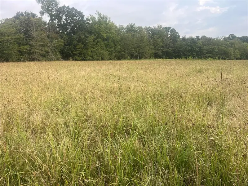 CR 2353 CR 2353, Bagwell, TX 75412