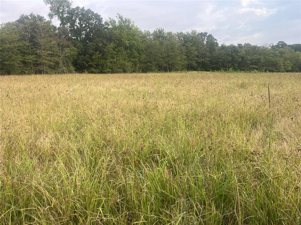 CR 2353 CR 2353, Bagwell, TX 75412