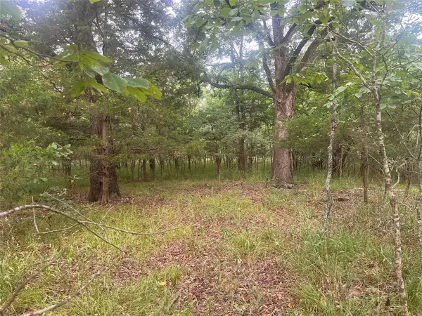 CR 2353 CR 2353, Bagwell, TX 75412