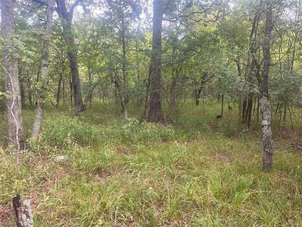 CR 2353 CR 2353, Bagwell, TX 75412