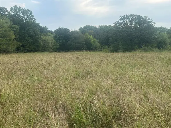 CR 2353 CR 2353, Bagwell, TX 75412
