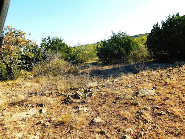 Tract 4 County Road 131, Brownwood, TX 76801