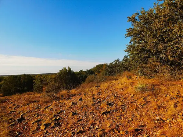 Tract 4 County Road 131, Brownwood, TX 76801