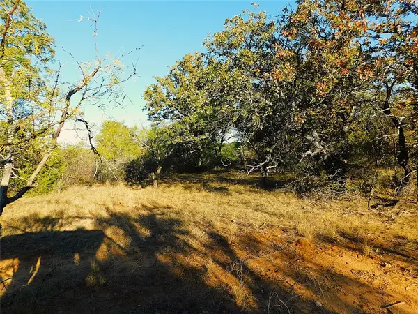 Tract 4 County Road 131, Brownwood, TX 76801