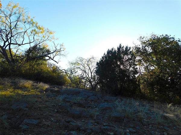 Tract 3 County Road 131, Brownwood, TX 76801