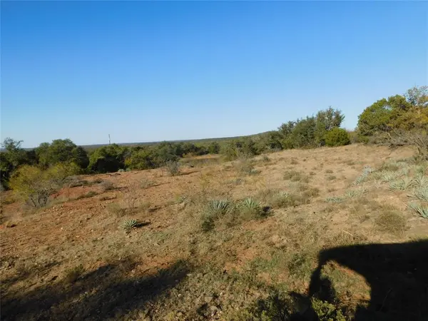 Tract 3 County Road 131, Brownwood, TX 76801