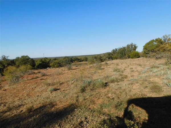 Tract 3 County Road 131, Brownwood, TX 76801