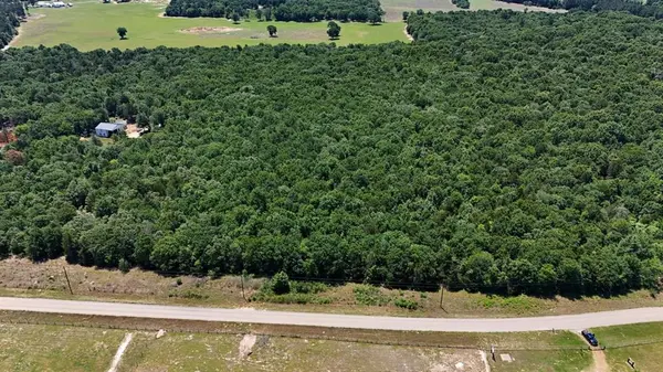 0 County Road #455, Mineola, TX 75773